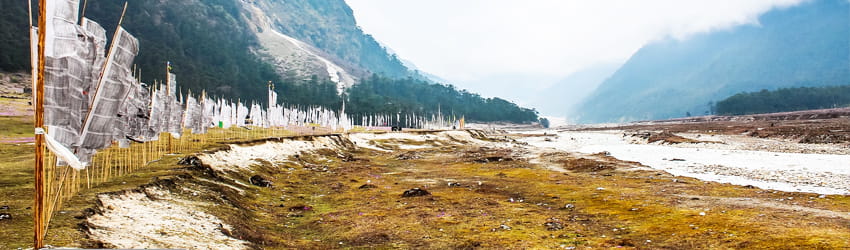 Yumthang valley