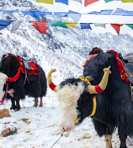 Sikkim